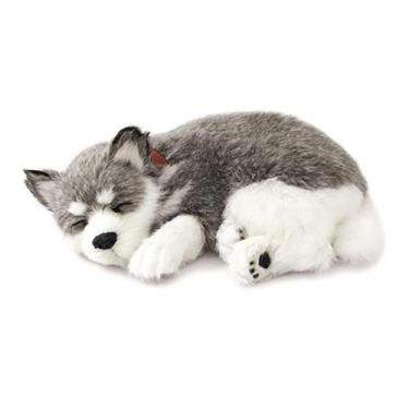 Imagem de Pelúcia que Respira Perfect Petzzz Original - Husk Siberiano