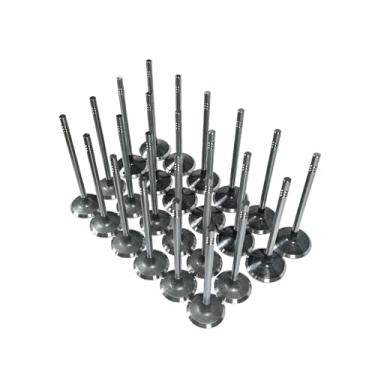 Imagem de Lizixny Kit de válvula de escape de admissão de motor 24 peças para Ford Series, para Lincoln, para Mercury 4.6L 5.4L 3-VALVE TRITON 2004-2014, substitui 3L3Z-6507-BA 5L1Z-6505-B