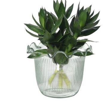 Imagem de Vaso transparente | Vaso para plantas aquáticas, plantador hidropônico para de fundo para fotos, férias, hotel, lobby, estante para eventos, local de trabalho, cozinha, jantar floral seco