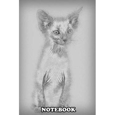 Imagem de Notebook: Kitten Lykoi Cat 7 Weeks Old Also Called The Werewolf C , Journal for Writing, College Ruled Size 6" x 9", 110 Pages