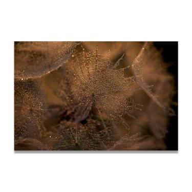 Imagem de Arte de parede, pintura em tela, dente-de-leão com orvalho nas sementes, impressão de pôster para sala de estar, quarto, cozinha, escritório, 75 x 50 cm