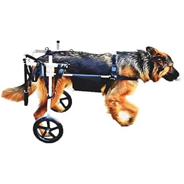 Imagem de Cadeira de rodas grande para cães de estimação, carrinho de reabilitação de perna traseira de aço inoxidável 2 rodas para pernas traseiras auxiliam pequenos animais de estimação paralisados membros