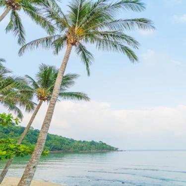 Imagem de Quadro decorativo Ilha Tropical Vista Painel de Parede Arte de Tela 40x40cm