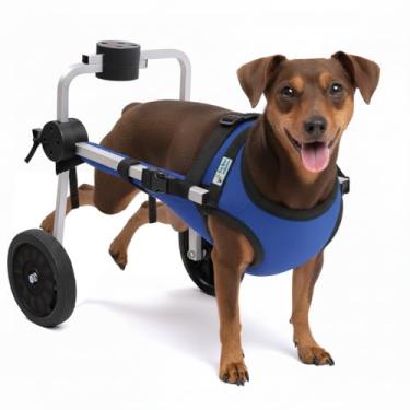 Imagem de Cadeira de 2 Rodas Para Cachorro Tam Micro com Colete Azul Ajustável Pata Traseira Paraplegia Reabilitação Paralisia Idoso Pet Best Soluções