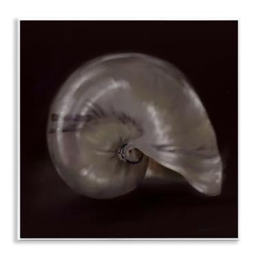 Imagem de Stupell Industries Arte em placa de parede Seashell Treasure of Seashell, design de Mary Sparrow, 12 x 12