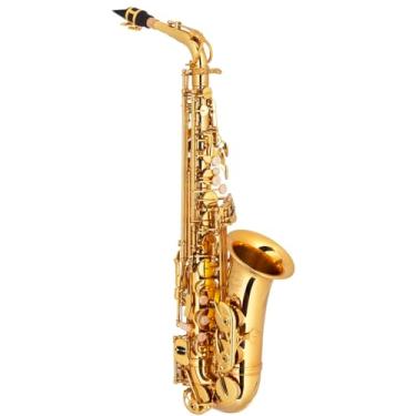 Imagem de Saxofone Alto Hofma By Eagle Mibemol + Estojo Luxo Hsa400