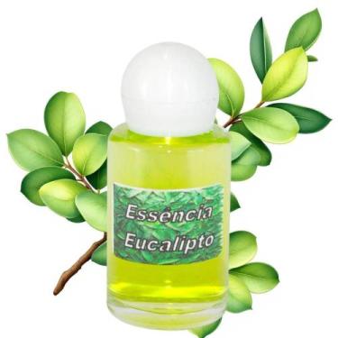 Imagem de Essência de Eucalipto 10ml  Aromatização  Purificação  Bem-estar Respi