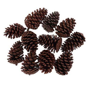 Imagem de DYNWAVE 10 pinhas secas grandes e naturais em flores secas a granel para decoração de Natal – marrom, B 8 – 10 cm