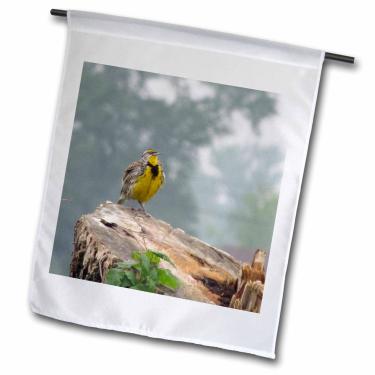 Imagem de 3dRose fl_21170_1 Bandeira de jardim Meadow Lark, 30 x 45 cm
