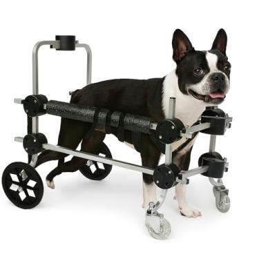 Imagem de Cadeira de 4 Rodas Para Cachorro Tam M Ajustável Traseira e Dianteira Tetraplegia Reabilitação Paralisia Idoso Pet Best Soluções