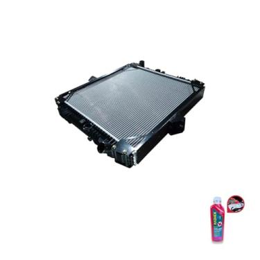 Imagem de Kit Radiador MB 2423/1620 Eletrônico 2CTB com Aditivo Radiador Radiex R1892 Rosa Pronto Uso