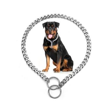 Imagem de Coleira de corrente Slip P para cachorros, prata XS Metal Training Martingale Coleira para cães PPP pequenos, médios e grandes
