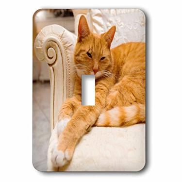 Imagem de 3dRose LSP_236171_1 gato malhado laranja feliz relaxando na poltrona chique interruptor único