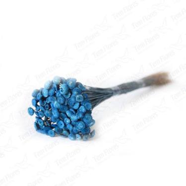Imagem de Botão Azul Turqueza Desidratado Sempre Viva Flores Secas - Tem Flores