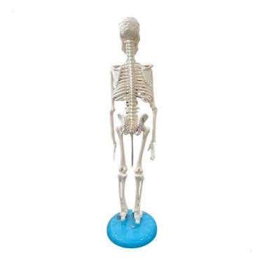 Imagem de Esqueleto de 45cm - Anatomic TGD-0121