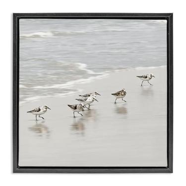 Imagem de Stupell Industries Arte de parede em tela flutuante com moldura preta Pássaros Sandpiper Scurrying por Natalie Carpentieri, 45,7 x 45,7 cm