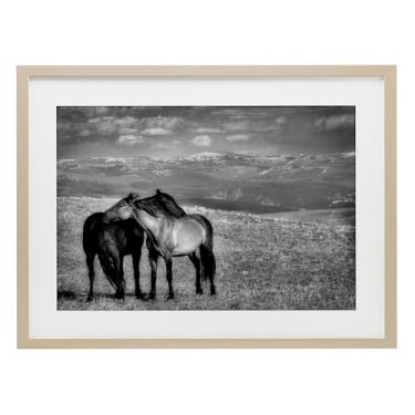 Imagem de Stupell Industries Impressão emoldurada de bétula de cavalo focado duplo design sob vidro por Wendy Caro, 35,5 x 50,8 cm