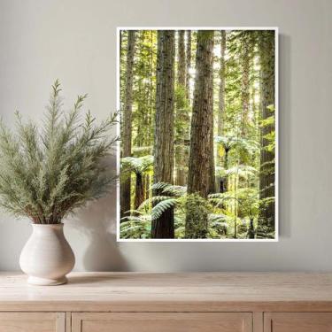 Imagem de Quadro Decorativo Floresta Natureza 62x47cm S Vidro Cor moldura - Deco