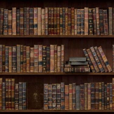 Imagem de Papel De Parede Temático Estante De Livros - 3,00x0,50m - DEKAL DECOR