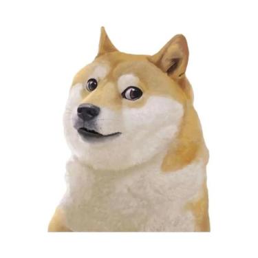 Imagem de Pôster De Arte De Parede Com Meme Engraçado De Macaco, Pato, Cachorro,