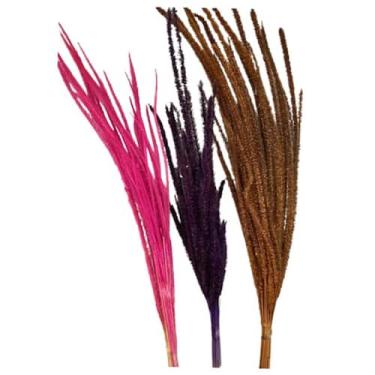 Imagem de Flor de Napier - Inspira Flora, Pink