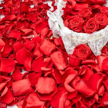 Imagem de Eslibin Pétalas de rosa vermelha verdadeira, 340 peças, pétalas de confete de flores secas de 90 g para casamento, daminha de flor, para festa de casamento, chá de panela romântico, decoração de dia