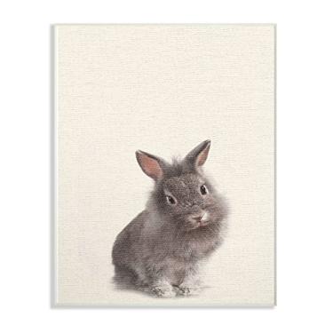 Imagem de The Stupell Home Decor Collection Just a Cute Bunny Wall Plaque Art, 10 x 15, multicolorido