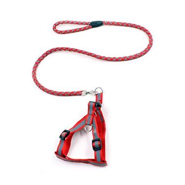 Imagem de Coleira para cães de estimação corda redonda refletora correia para cães com peitoral corrente para filhotes conjunto de coleira para cães pequenos cães