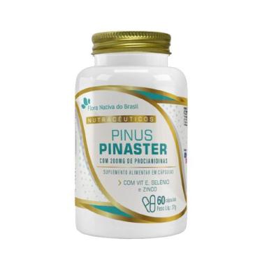 Imagem de Pinus Pinaster Com Procianidinas 200Mg + Vitamina E + Selênio + Zinco