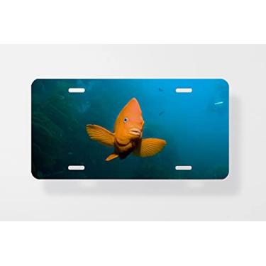 Imagem de Capa para placa de carro adulto Garibaldi Damselfish Hypsypop Rubicundus – Capa para placa de carro – Capa para placa de carro 15 x 30 cm