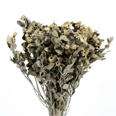 Imagem de Alecrin Natural  Desidratado - Oficina do Florista
