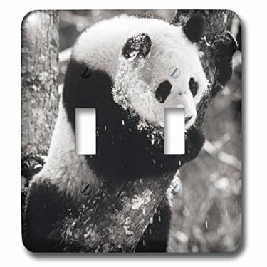 Imagem de 3dRose lsp_70183_2"China, Sichuan, Urso panda gigante, Wolong Reserve-AS07 CCR0830-Charles Crust interruptor duplo