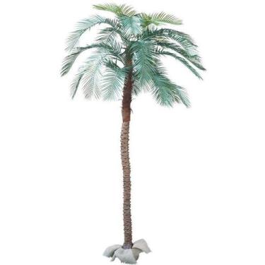 Imagem de Arvore Tropical Planta Palmeira Fênix 26 Folhas 320cm Realista - La Ca