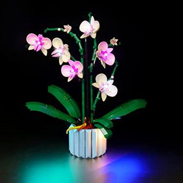 Imagem de MRTUTOS Kit De Iluminação Led Compatível Com Lego 10311, Planta Orquídea E Flor, Conjunto Para Adultos, Ilumina Sua Coleção Botânica (Sem Modelos)