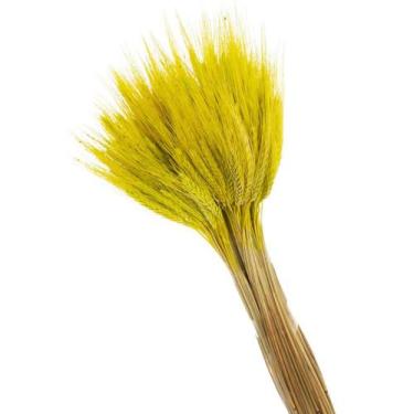Imagem de Buque de Flores Secas Trigo Rosa bebe - Pense Flores, Amarelo