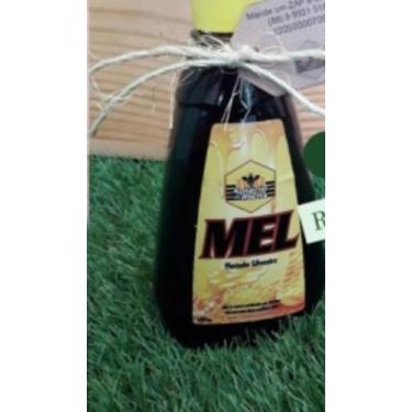 Imagem de Mel de abelha puro florada silvestre 500g - C.N