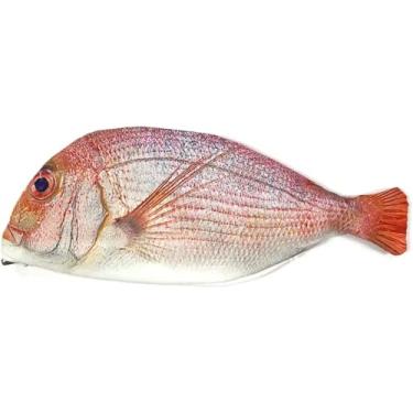 Imagem de Estojo de lápis em forma de peixe bonito estilo coreano pano sacos de material escolar artigos de papelaria caixa de caneta quente presente (Vermelho)