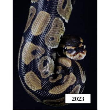 Imagem de 2023: Agenda semainier au format A4 - Année civile (Janvier à Décembre 2023) - Intervalles d'1h (7h-22h) - Contacts, jours fériés, mots de passe, ... - Une semaine sur deux pages