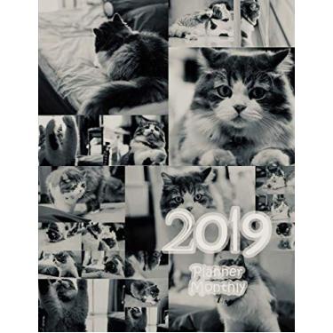 Imagem de 2019 planner monthly