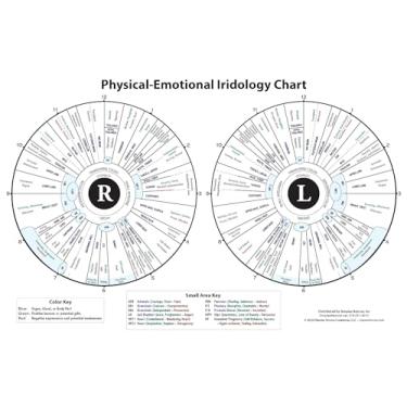 Imagem de Gráfico laminado de iridologia física e emocional e traços de personalidade, 28 x 43 cm
