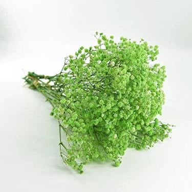 Imagem de Birtlynn Preserved Baby'S Breath 3 Buquês, 100% Flores Naturais Frescas De Gipsófila Longa Duração Para Arranjos Em Vasos, Decoração Casa, Adereços Fotos, Festas E Casamentos, Faça Você Mesmo - Verd