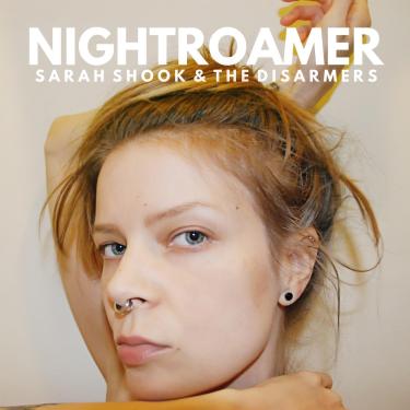 Imagem de Nightroamer [Disco de Vinil]