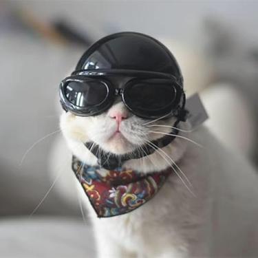 Imagem de Capacete protetor legal para viagem para animais de estimação - capacete de motocicleta elegante para gatos e cães, ajuste universal para um visual moderno 120