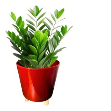 Imagem de Vaso Cachepot com Tripé de Madeira – Decoração de Plantas Naturais e Artificiais para Sala, Varanda ou Escritório(Vermelho)