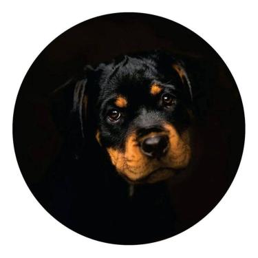 Imagem de Capa De Estepe Ecosport Aircross Crossfox Rottweiler 2