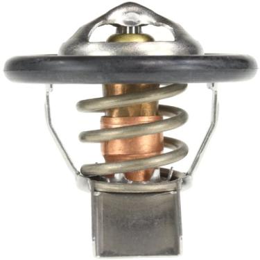 Imagem de MotoRad Termostato 418-170