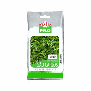 Imagem de Sementes Grama São Carlos [Folha Larga] (50g) ISLA