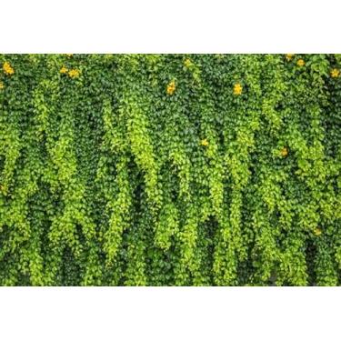 Imagem de Fundo Fotográfico Parede Boiserie Boulangerie Cenário Tecido (FDPAR020, 1,50 x 2,20m)