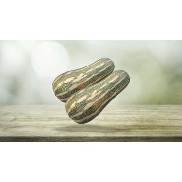 Imagem de 100 Sementes Da Abóbora Mini Paulista - SEEDS