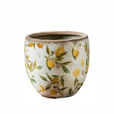 Imagem de LANDENGWANG Vasos de plantas com padrão de limões de primavera, vasos de suculentas, 10 cm D - 18,5 cm D, vasos grandes para plantas de interior, vasos decorativos de jardim redondos de cerâmica (sem